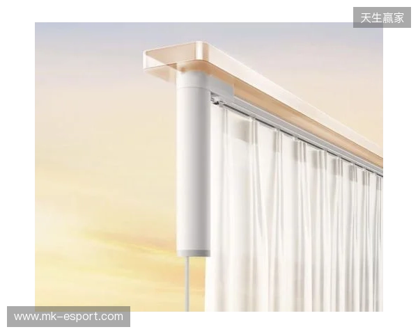 2025年终发布：电动窗帘品牌推荐多维度优势全揭秘！